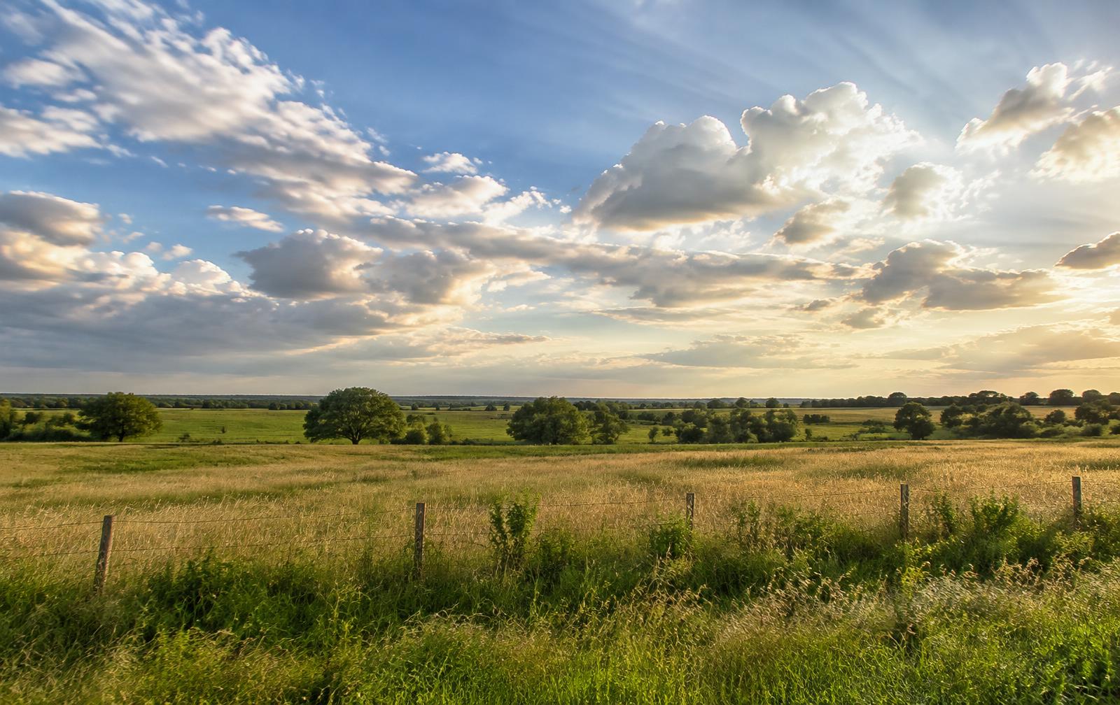 Blackland Prairie fields and open sky near Bruceville-Eddy